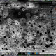 Illustration for article titled A Saturday's Work at Gizmodo in Mouse Movement